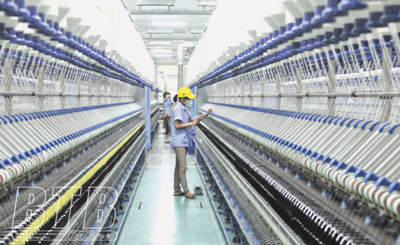 Thái Bình - Triển khai Tổng điều tra kinh tế năm 2021